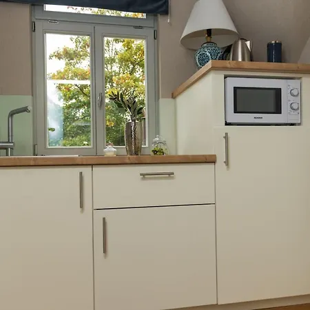 公寓 Apartmenthaus Am Dom Maisonette Sd Mit Parkplatz 茨维考