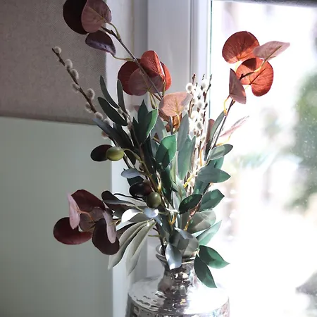 Apartmenthaus Am Dom Maisonette Sd Mit Parkplatz