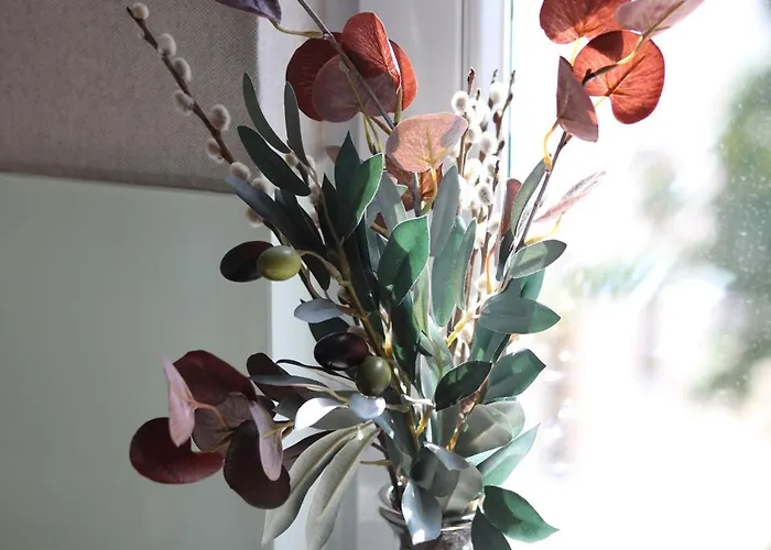 Apartmenthaus Am Dom Maisonette Sd Mit Parkplatz